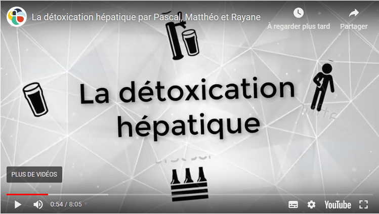 La détoxication hépatique - Institut Villebon Georges Charpak