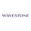 Wavestone renouvelle son soutien à l’Institut Villebon – <i>Georges Charpak</i>.