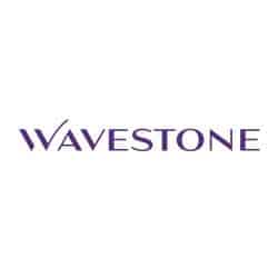 Wavestone renouvelle son soutien à l’Institut Villebon – Georges Charpak.